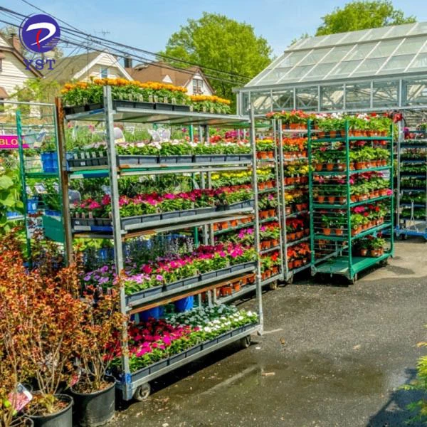 Greenhouse Transportation Carts
