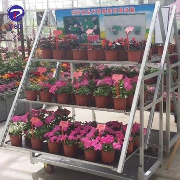 Plant Display Trolley