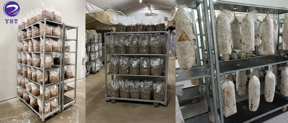 Danish Trolley-2 Danish Trolley-2